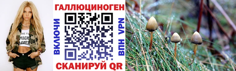 кракен как войти  Губкинский  Галлюциногенные грибы ЛСД  где купить наркоту 