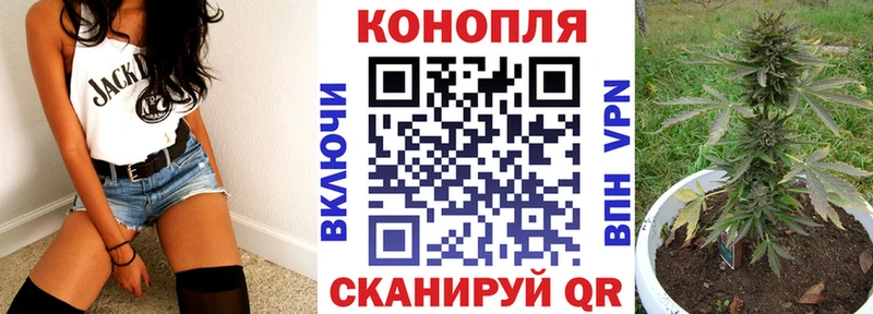 kraken маркетплейс  Губкинский  Канабис сатива 